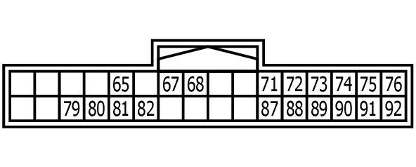 GNSW29101