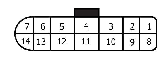 GNSW39521
