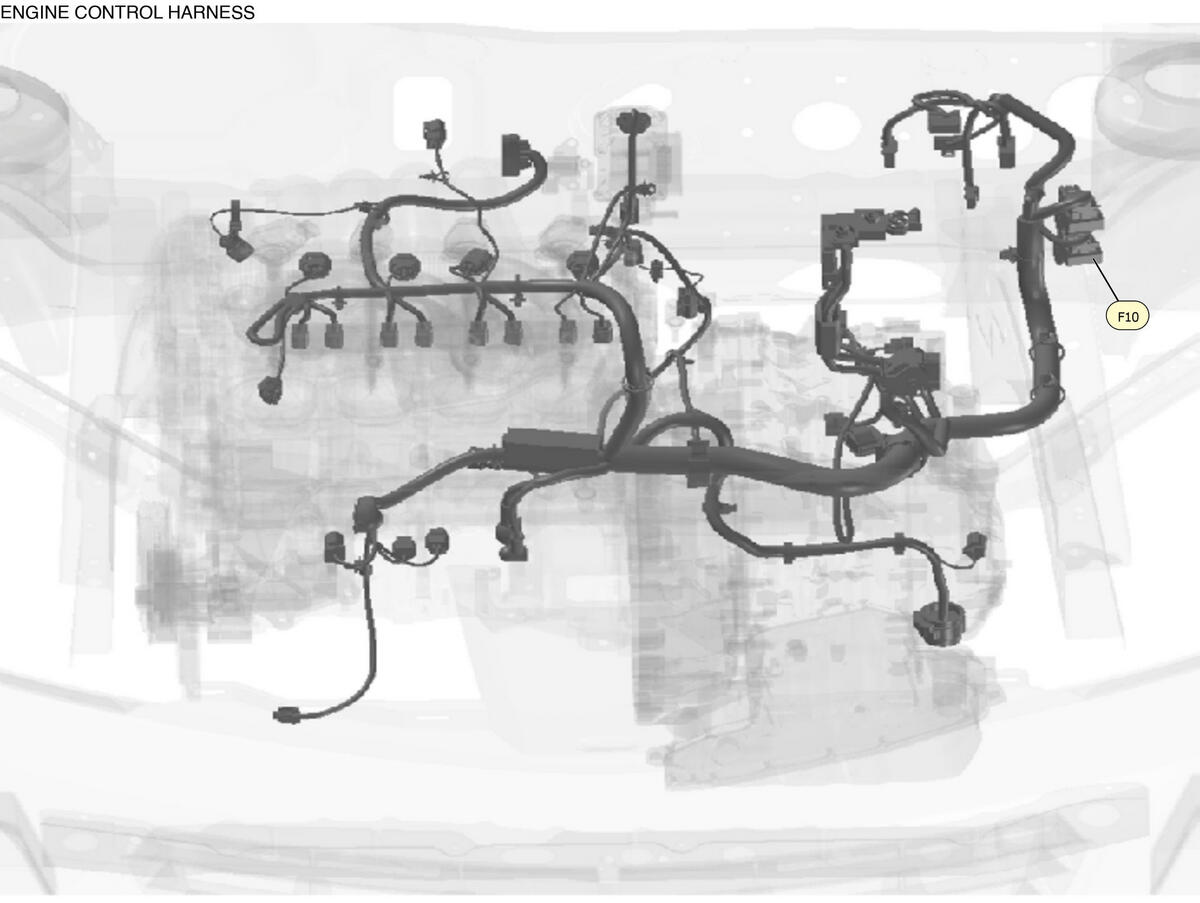 GNSW90111_LK_F010