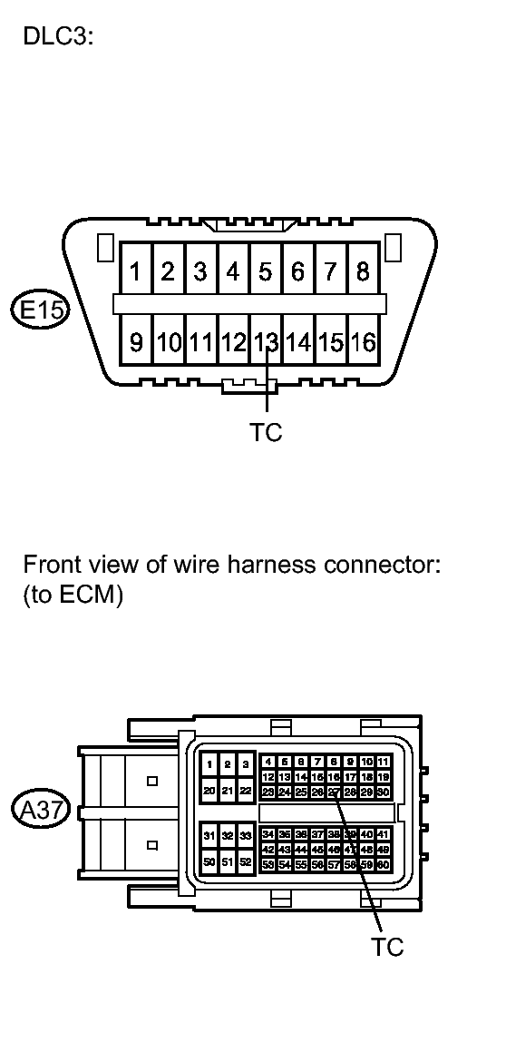 GTY217225