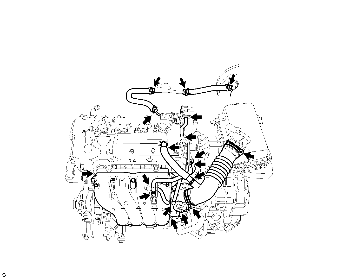 GTY291502