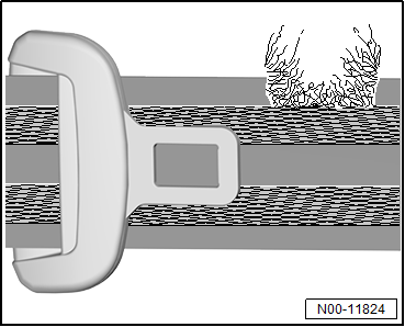 GWWN00-11824