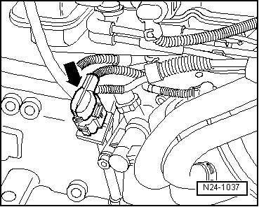 GWWN24-1037